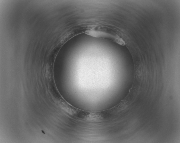 X0000078000270200611101802