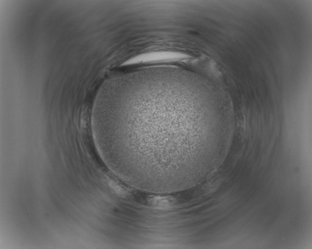 X0000078000277200611101802