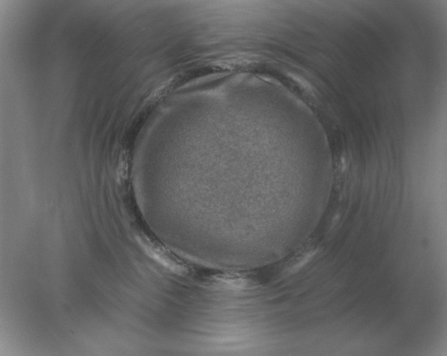 X0000078000284200611101802