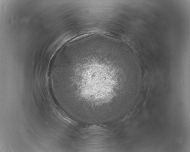 X0000078000290200611101801