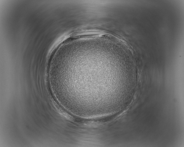 X0000078000293200611101801