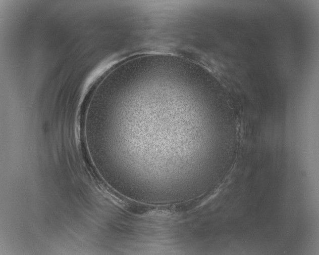 X0000078000294200611101801