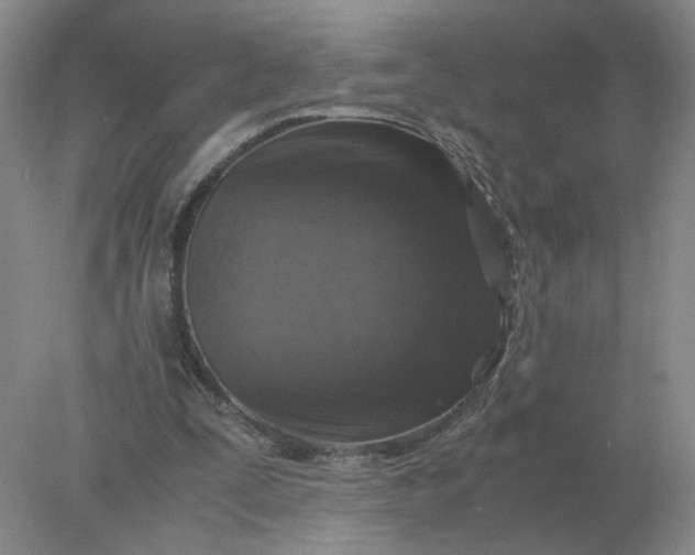 X0000078000295200611101801