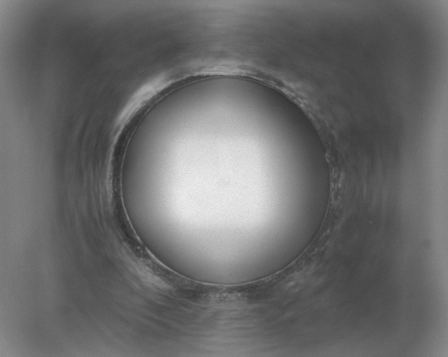 X0000078000296200611101801