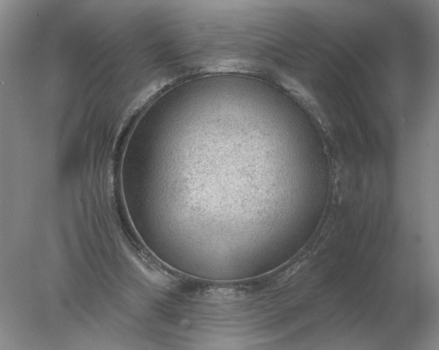 X0000078000298200611101801