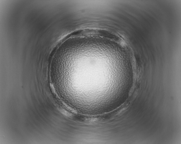 X0000078000301200611101801