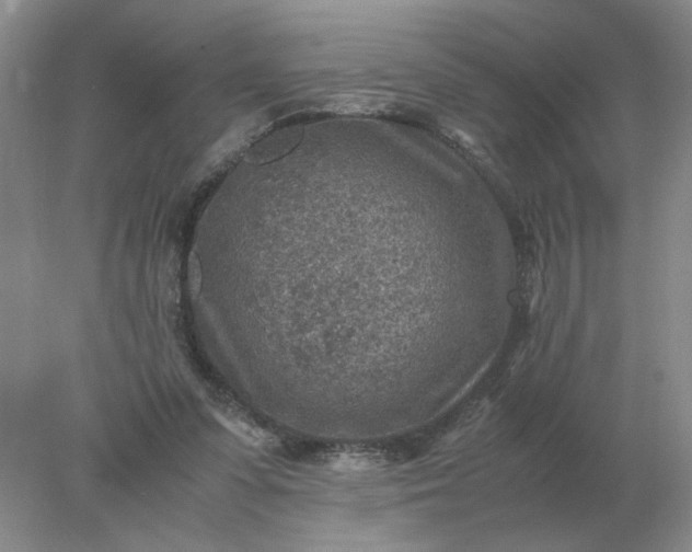 X0000078000303200611101801