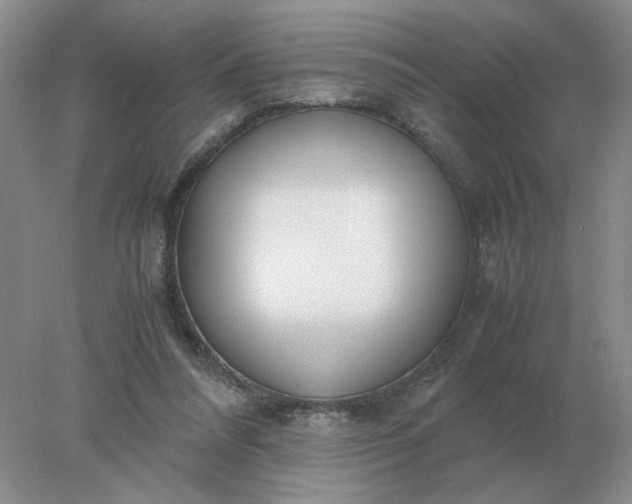X0000078000304200611101801