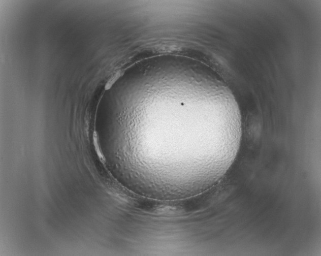 X0000078000315200611101801