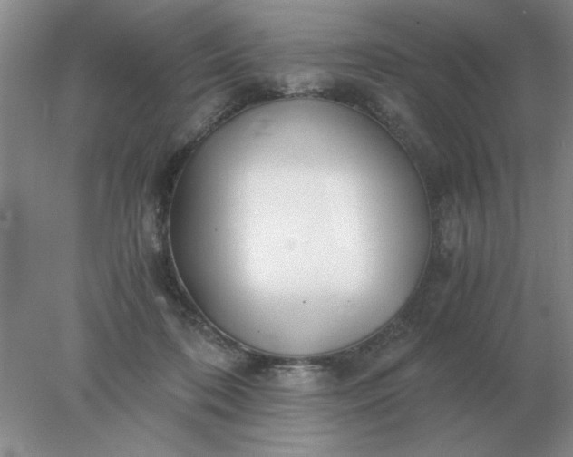 X0000078000316200611101801