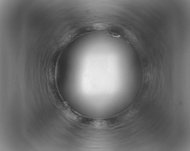 X0000078000317200611101801