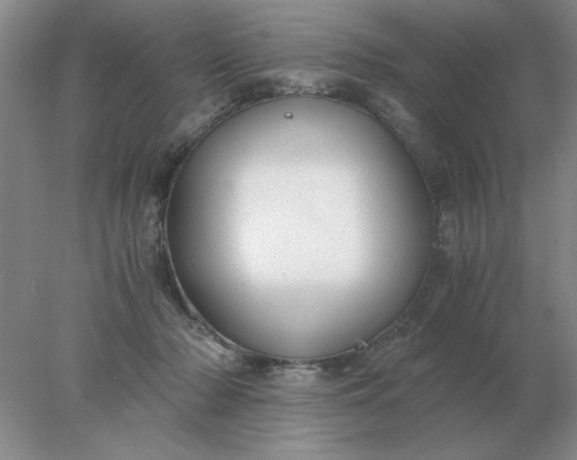 X0000078000318200611101801