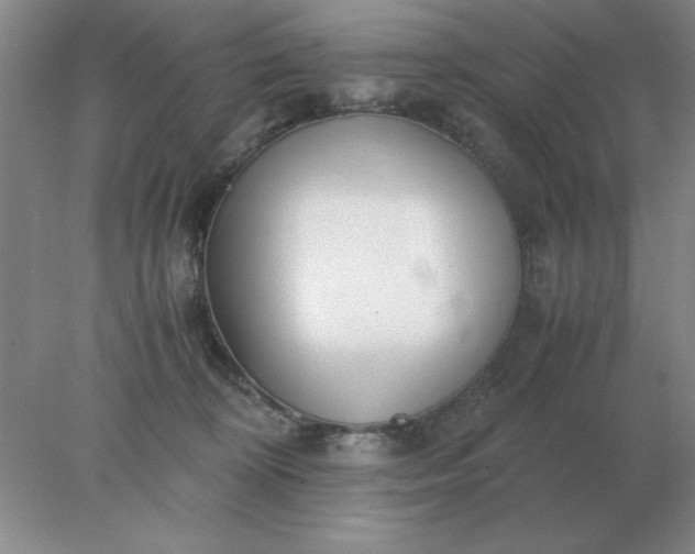 X0000078000324200611101801