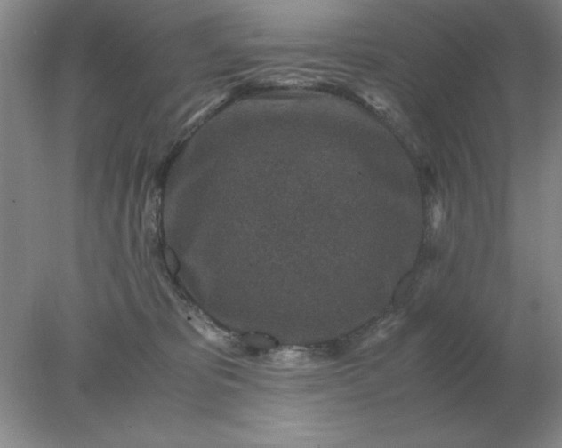 X0000078000325200611101801