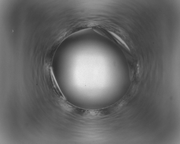 X0000078000329200611101801
