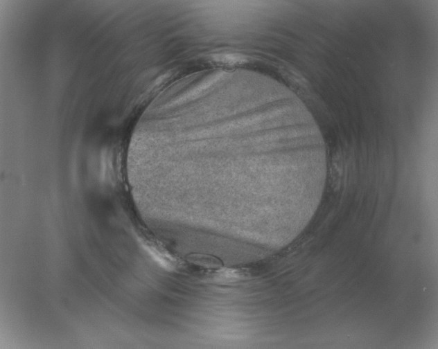 X0000078000330200611101801