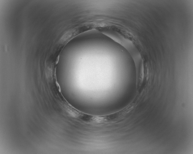 X0000078000333200611101800