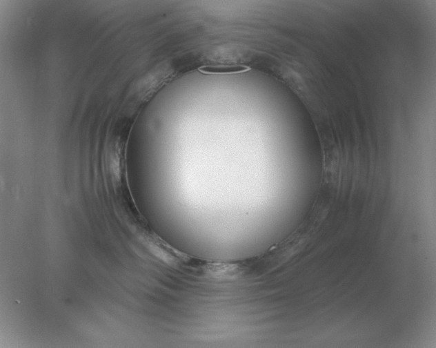 X0000078000334200611101800