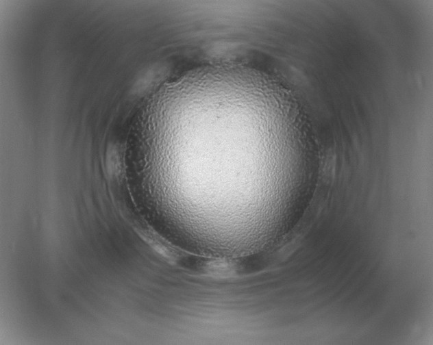 X0000078000335200611101800
