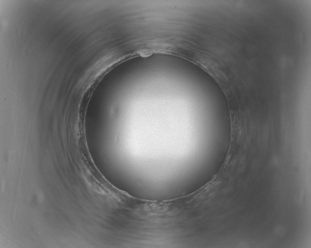 X0000078000338200611101800