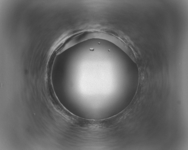 X0000078000344200611101800