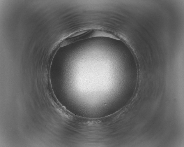 X0000078000345200611101800