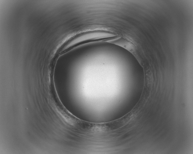 X0000078000350200611101800