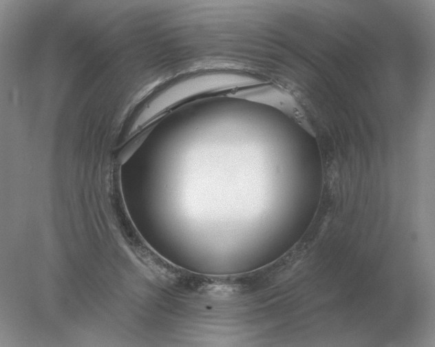 X0000078000352200611101800