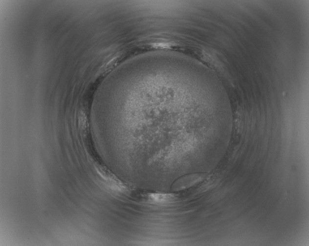 X0000078000371200611101800