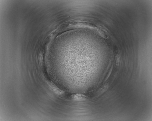 X0000078000372200611101800