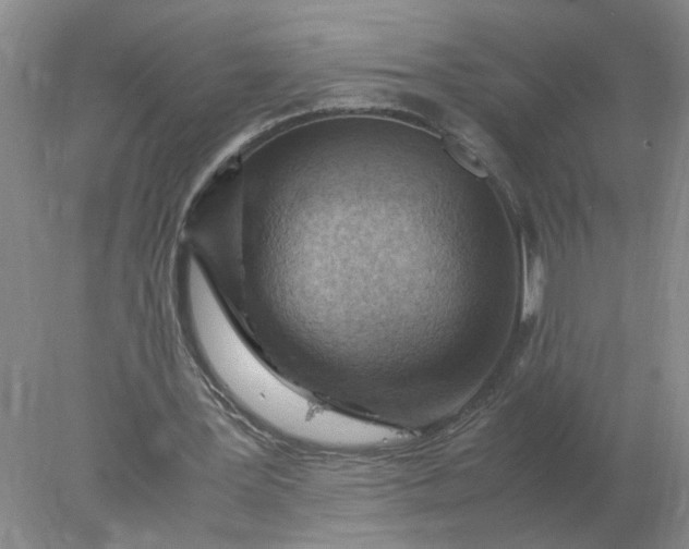 X0000078000387200611101800