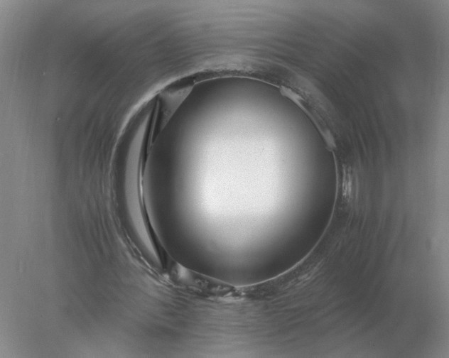 X0000078000388200611101800