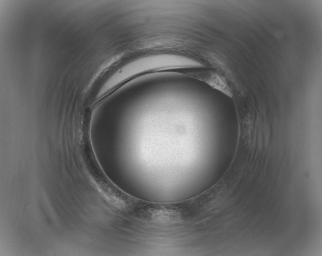 X0000078000400200611101759