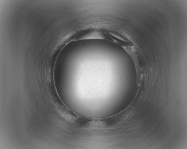 X0000078000403200611101759