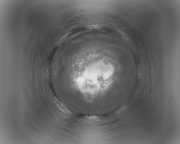 X0000078000409200611101759