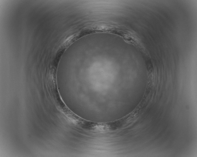 X0000078000415200611101759