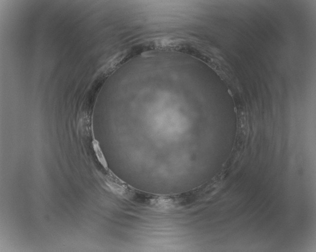 X0000078000419200611101759