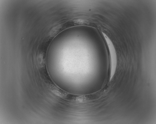 X0000078000420200611101759
