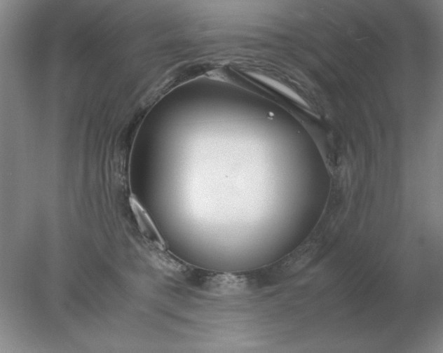 X0000078000421200611101759