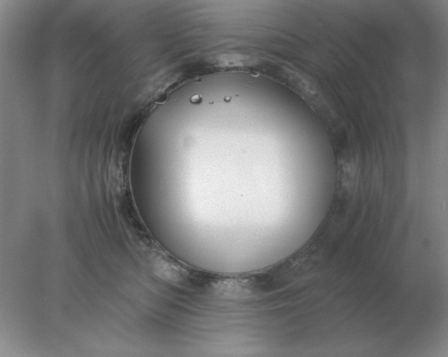 X0000078000422200611101759