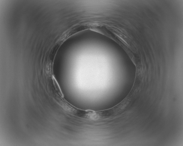 X0000078000425200611101759