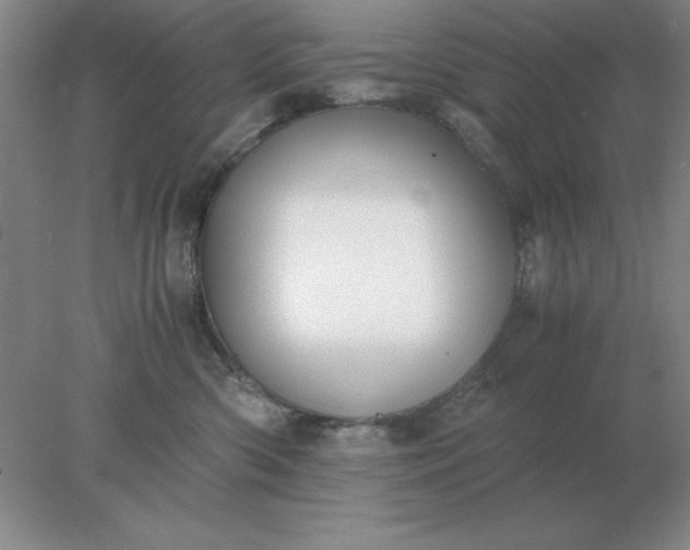 X0000078000426200611101759