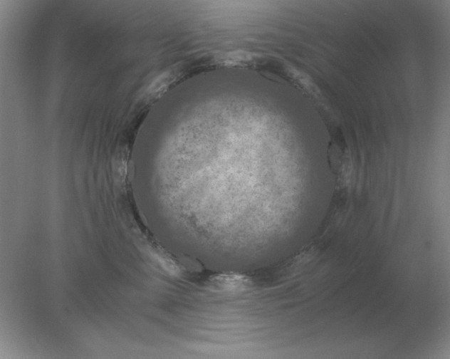 X0000078000427200611101759