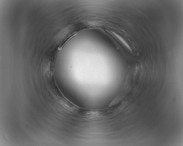 X0000078000428200611101759