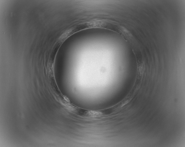 X0000078000429200611101759