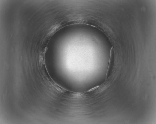 X0000078000432200611101759