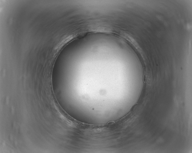 X0000078000433200611101758