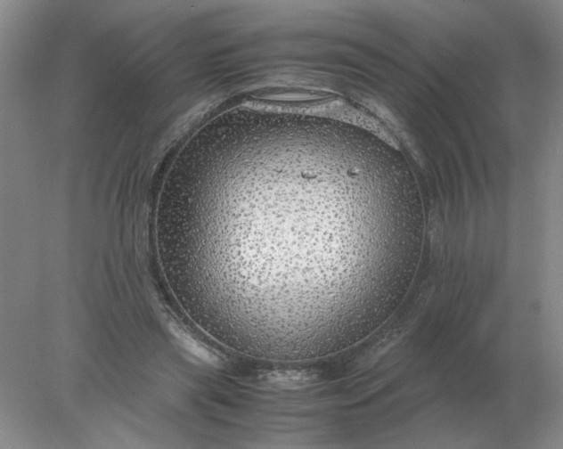 X0000078000445200611101758