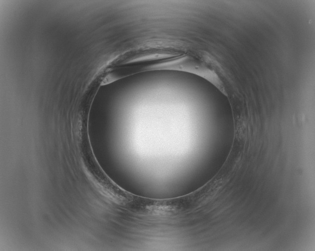 X0000078000448200611101758