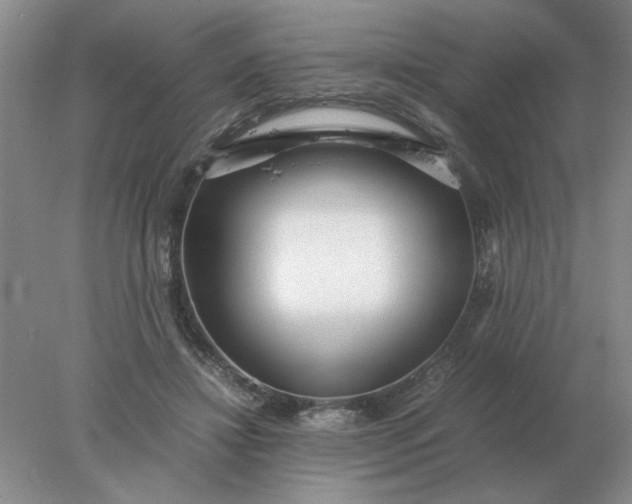 X0000078000452200611101758